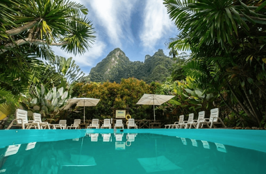 Elephant Hills The Elephant Camp